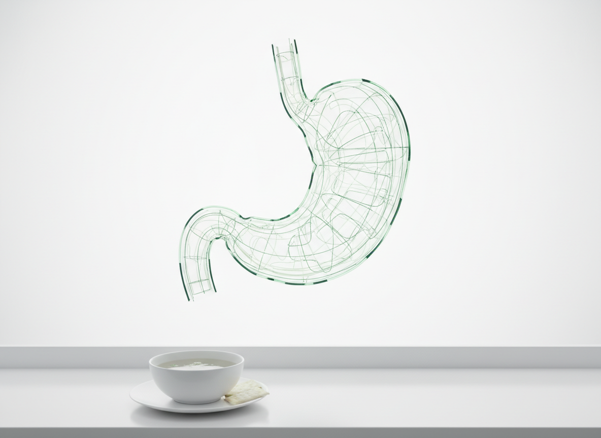 What to eat when nauseous on a GLP-1