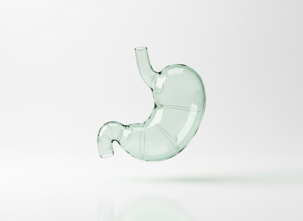 Glass hologram of an inflated stomach shape on white