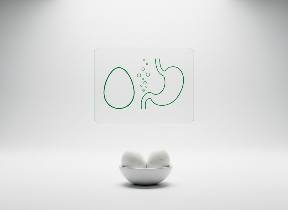 Glass hologram of an egg and a stomach outline with small rising gas bubbles, above a white surface with two boiled eggs