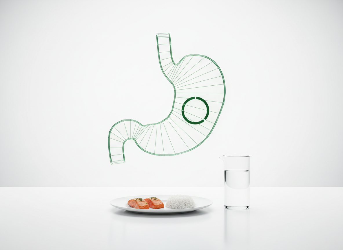 Green glass hologram of a stomach with a low appetite dial above a small plate of food and a glass of water