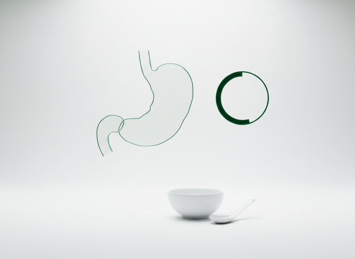 Glass hologram of a stomach with a soft dial in green lines above a white surface with a small bowl and a spoon