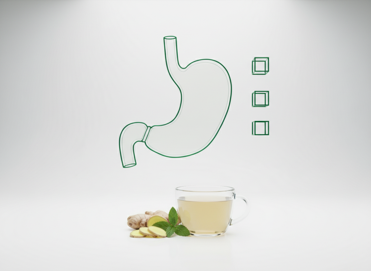 What helps nausea on a GLP-1?